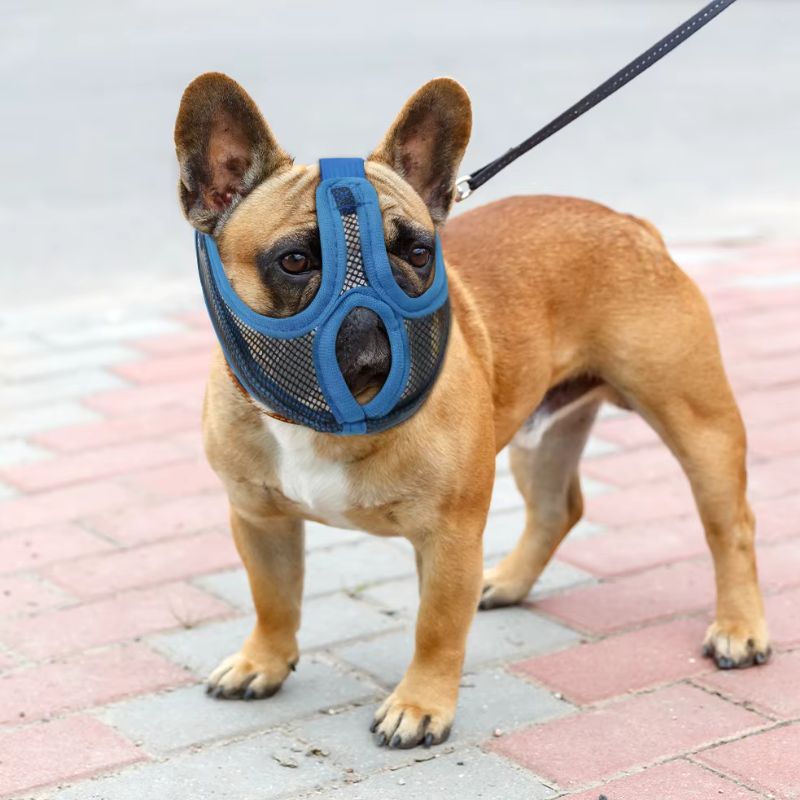 Museliere pour Chien Bouledogue
