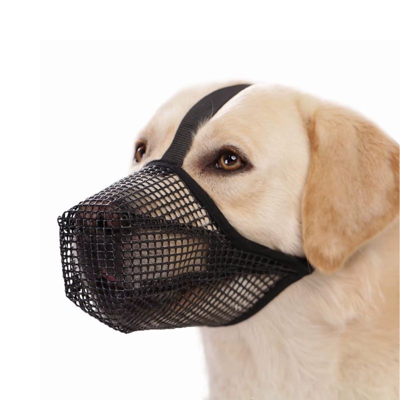 Museliere pour Chien Grille