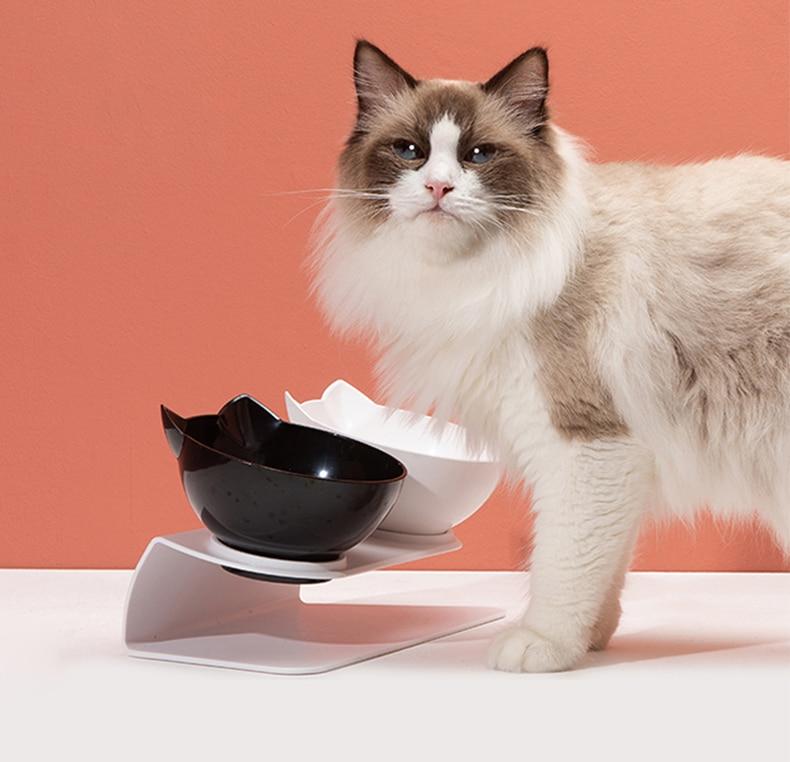 Bols pour Chats Orthopédique anti-dérapant