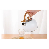 Bouilloire Inox à Sifflet – 2.5/3L Tous Feux