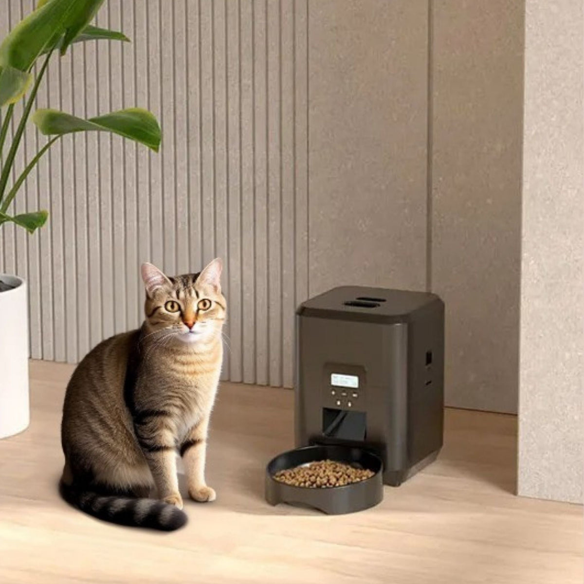 distributeur de croquettes pour chat | Gourmet Bot