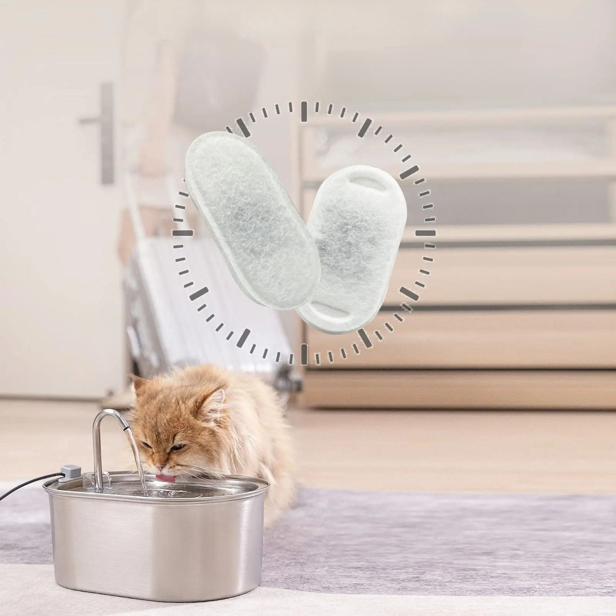 filtre pour fontaine à eau chat |O'PROPRE