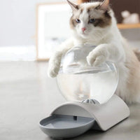 fontaine à chat sans électricité