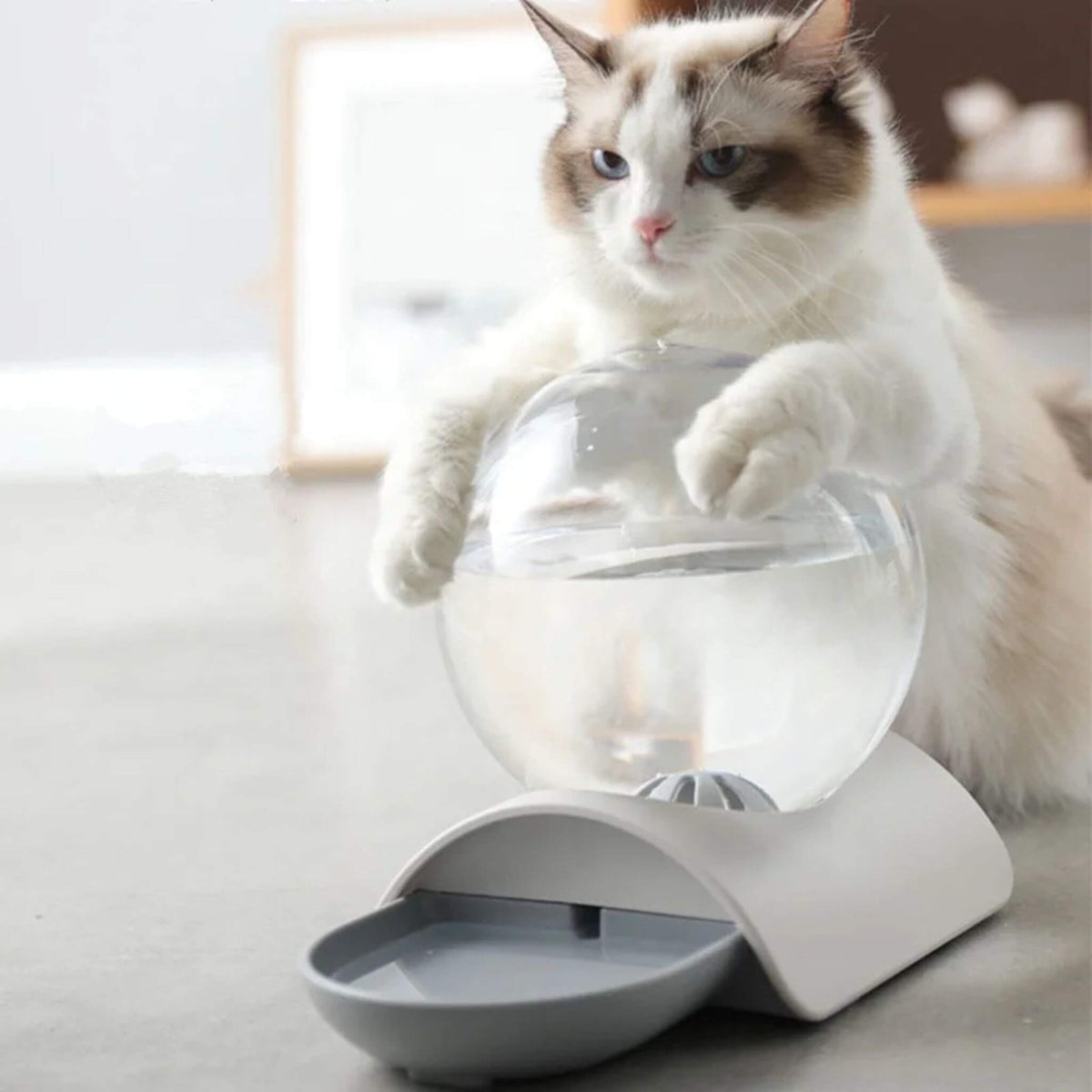 fontaine à chat sans électricité