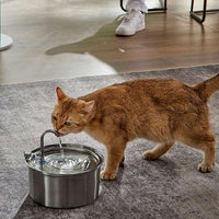 fontaine à eau chat | EAU FRAICHE