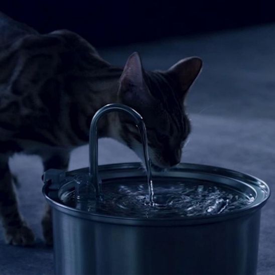 fontaine à eau chat | EAU FRAICHE