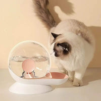 fontaine-à eau-chat-sans-électricité-escargot
