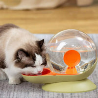fontaine-à eau-chat-sans-électricité-escargot