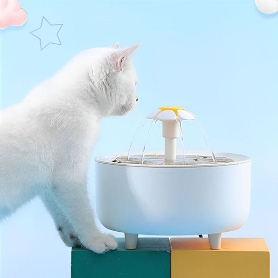 fontaine à eau pour chat | HEALTHY WATER - Happy minet