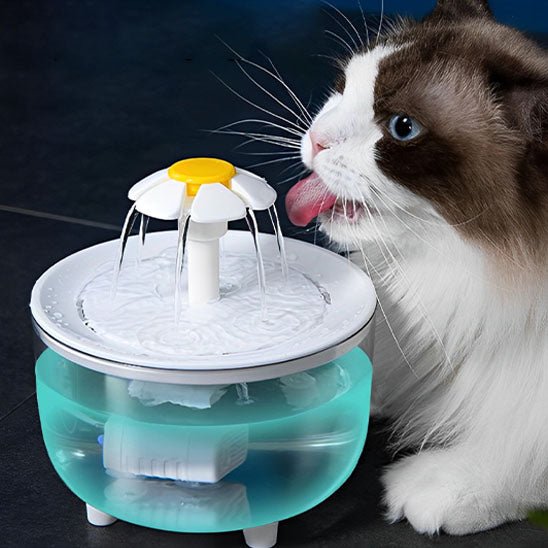fontaine à eau pour chat | HEALTHY WATER