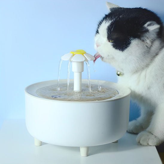 fontaine à eau pour chat | HEALTHY WATER