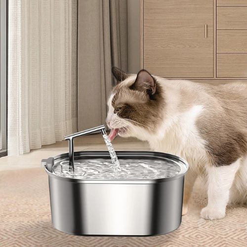 fontaine à eau pour chat | INOX FONTAINE