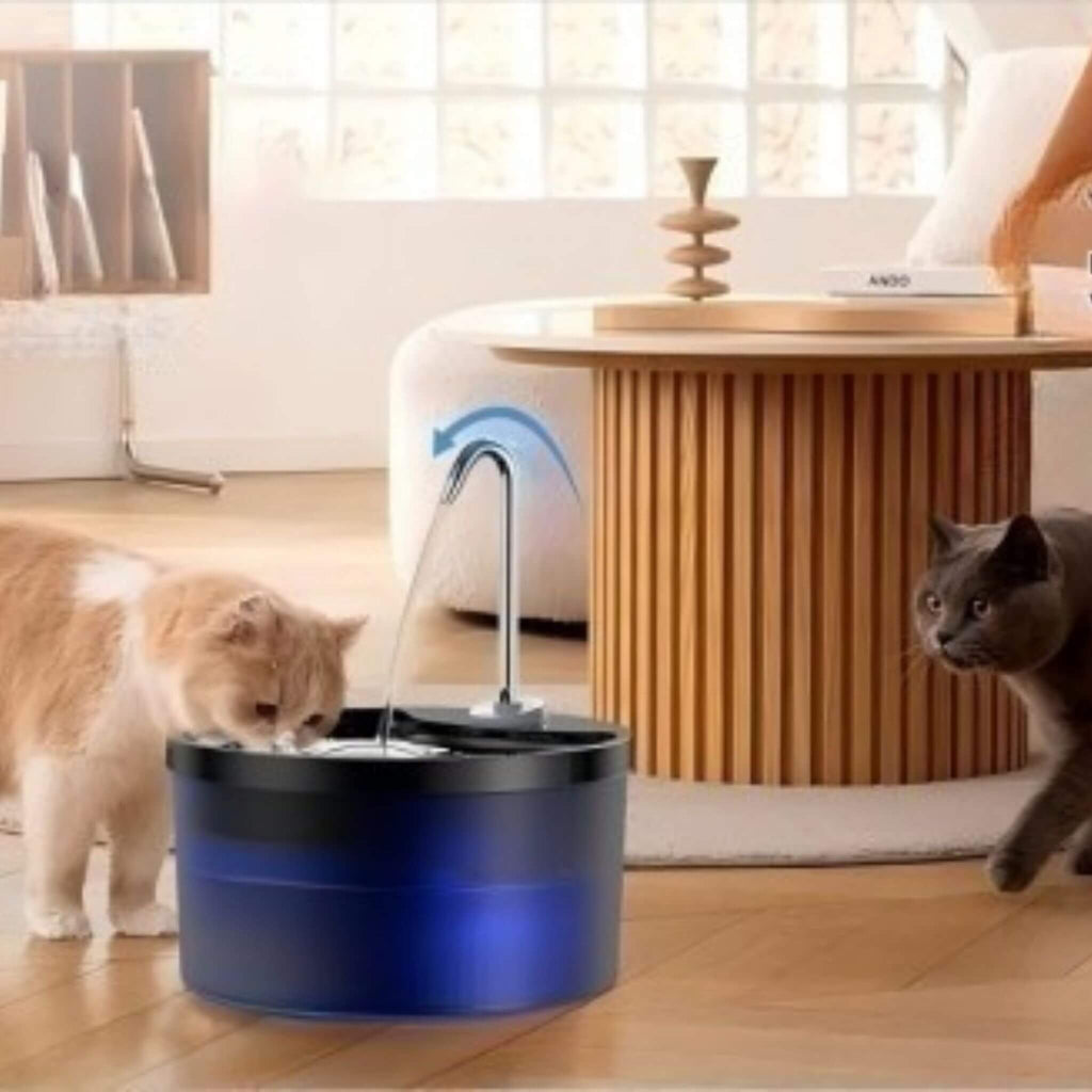 FONTAINE A EAU POUR CHAT | HydroMiaou