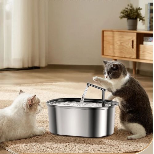 fontaine à eau pour chat | INOX FONTAINE
