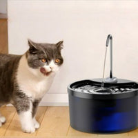 fontaine-a-eau-pour-chat