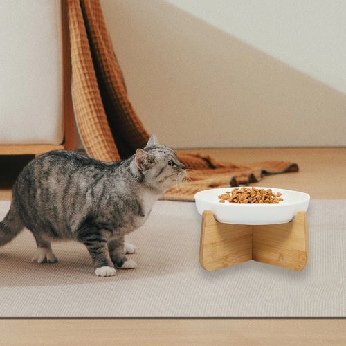 gamelle anti glouton chat céramique et bois
