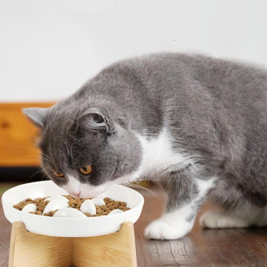 gamelle anti glouton chat céramique et bois