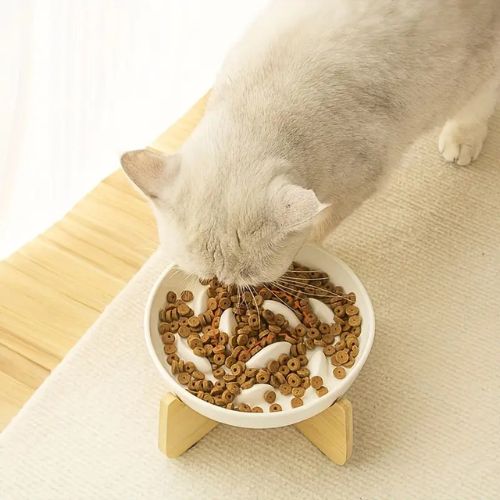 gamelle anti glouton chat céramique et bois