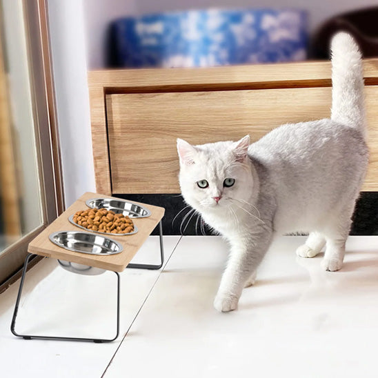 gamelle chat surélevée | Repas en Hauteur