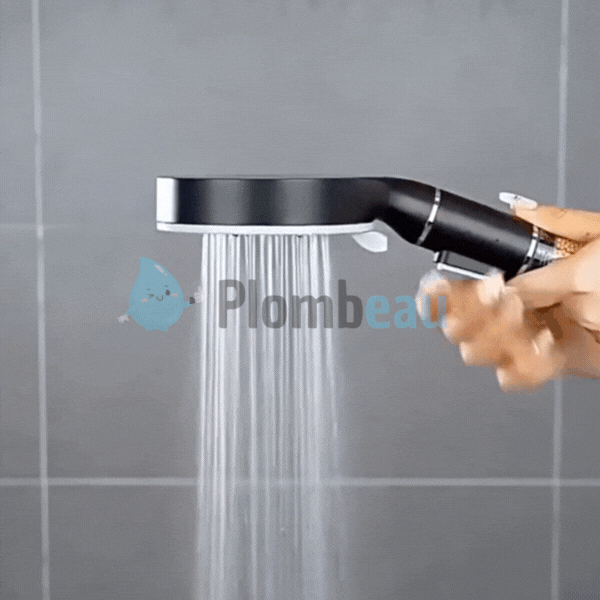 Pommeau de Douche Anti Calcaire Blanc