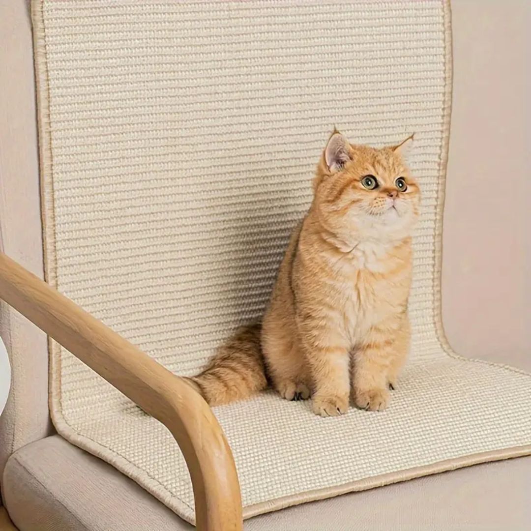 griffoir chat |TAPIS GRIFF'