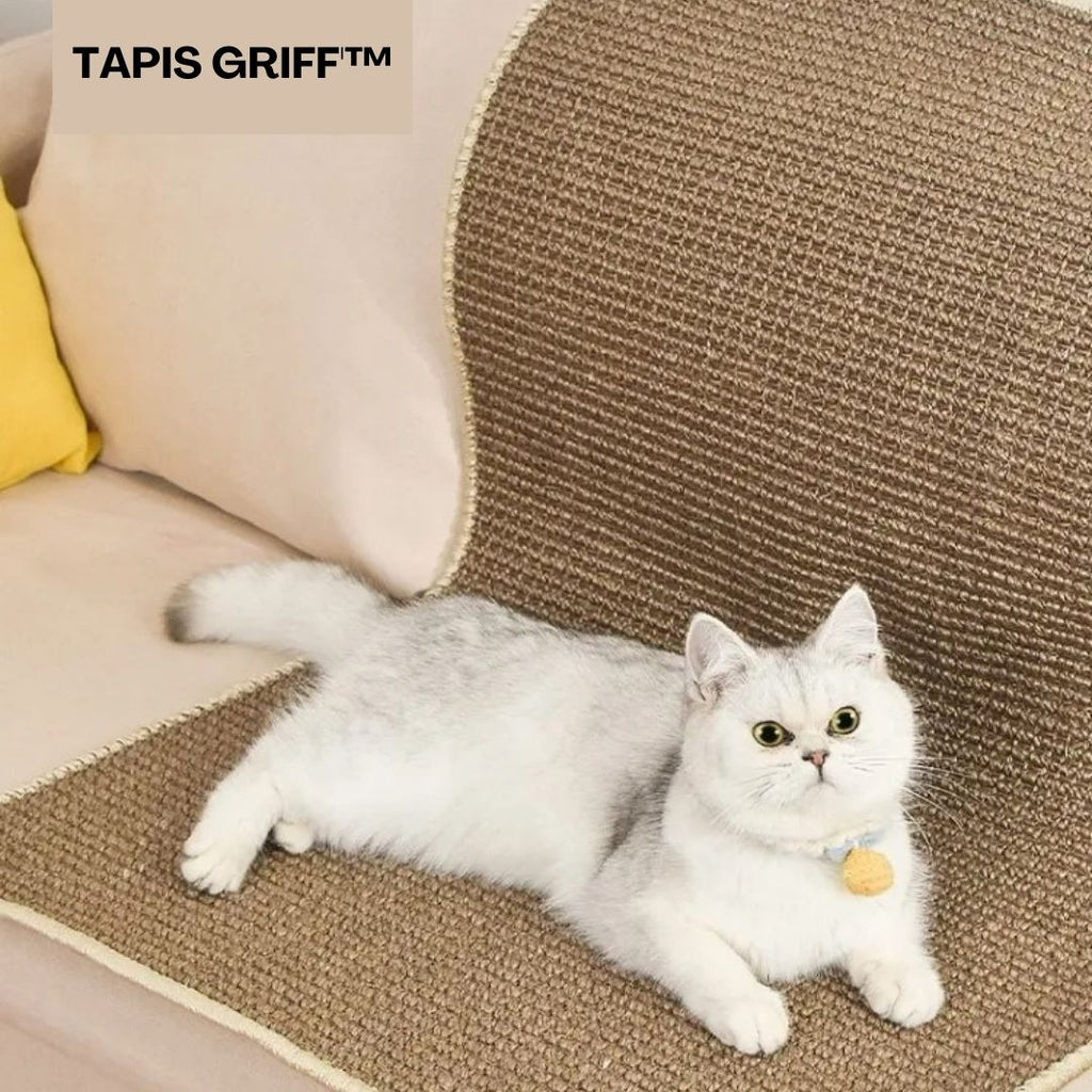 griffoir chat |TAPIS GRIFF'