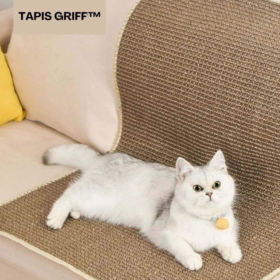 griffoir chat |TAPIS GRIFF'