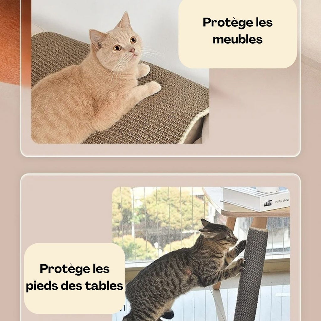 griffoir chat |TAPIS GRIFF'