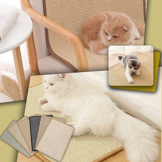 griffoir chat |TAPIS GRIFF'