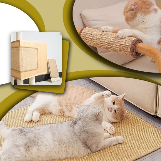 griffoir chat |TAPIS GRIFF'