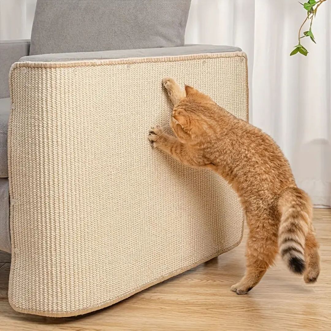 griffoir chat |TAPIS GRIFF'