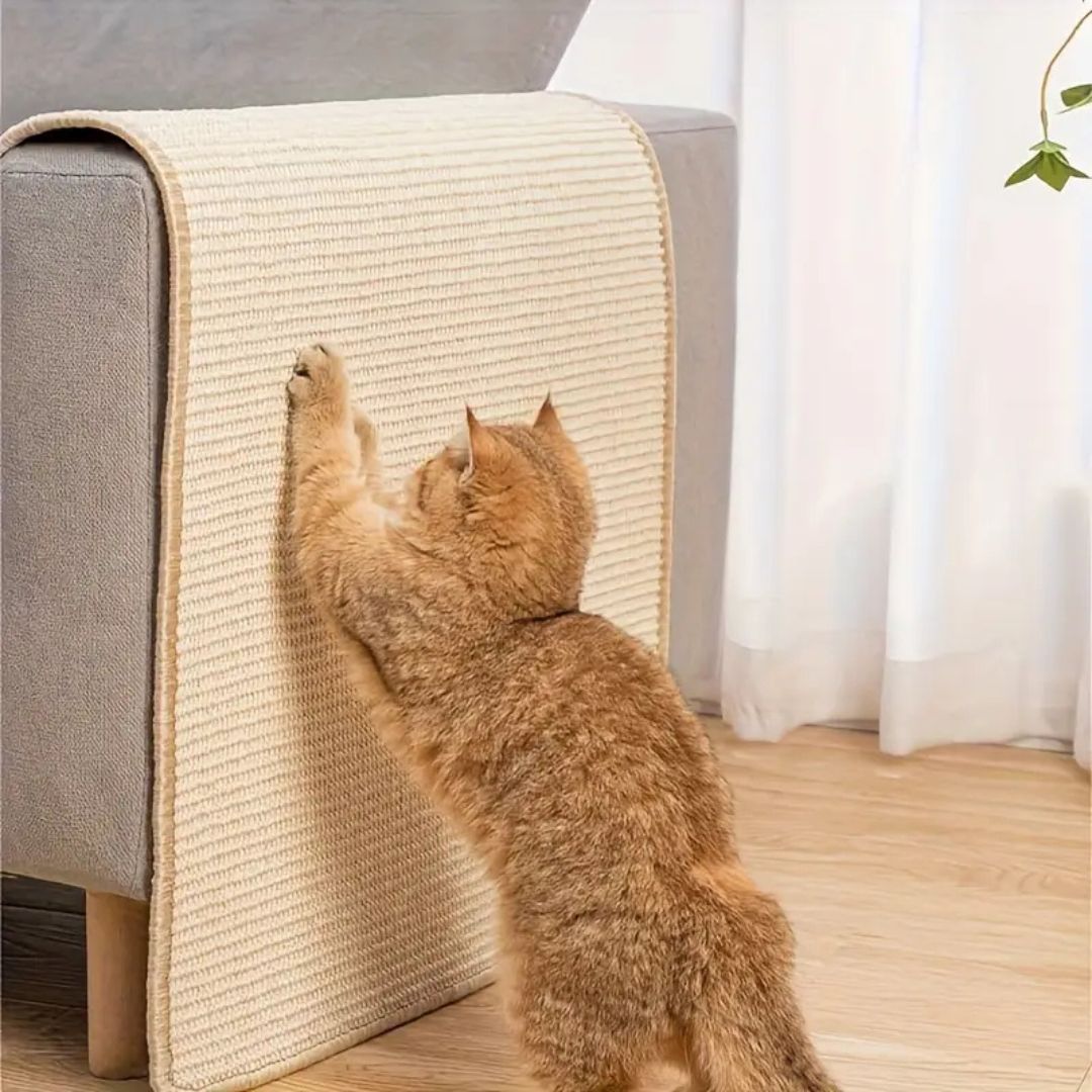 griffoir chat |TAPIS GRIFF'