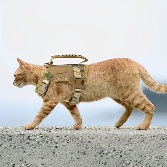 harnais chat anti fugue | CHAVENTURE - Happy minet