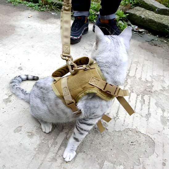 harnais chat anti fugue | CHAVENTURE