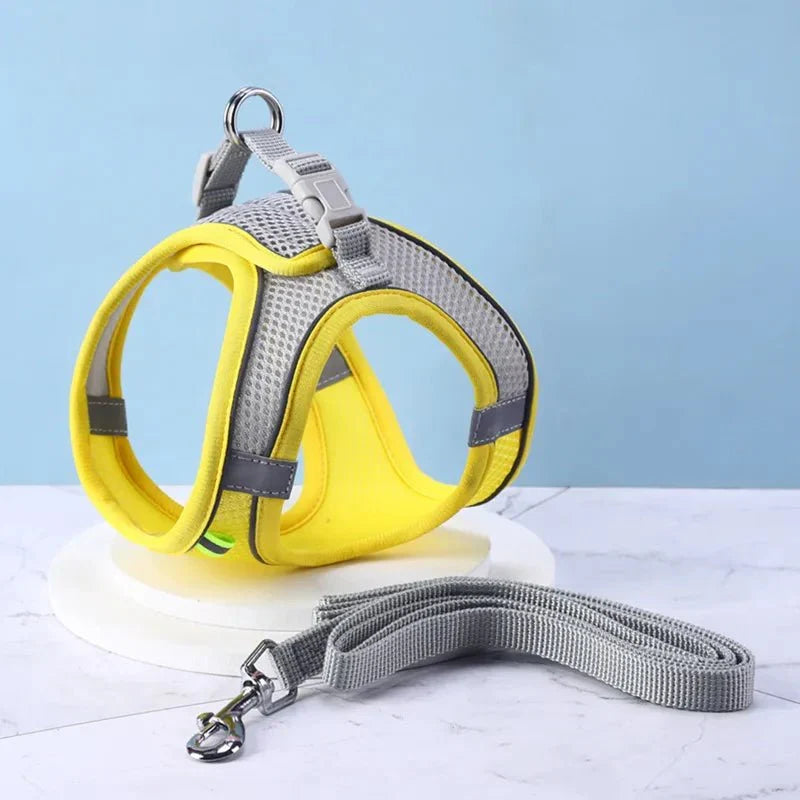 harnais-chat-anti-fugue-jaune | EXPLORER HARNESS™ - Happy minet