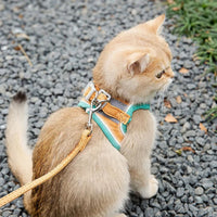 harnais chat | Comfort Harness