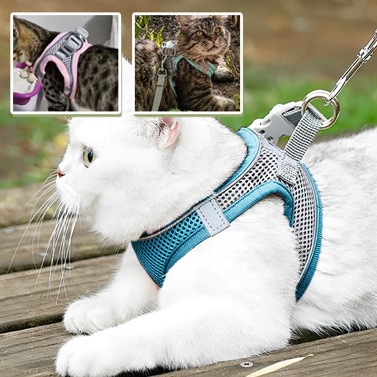 harnais chat anti-fugue| EXPLORER HARNESS