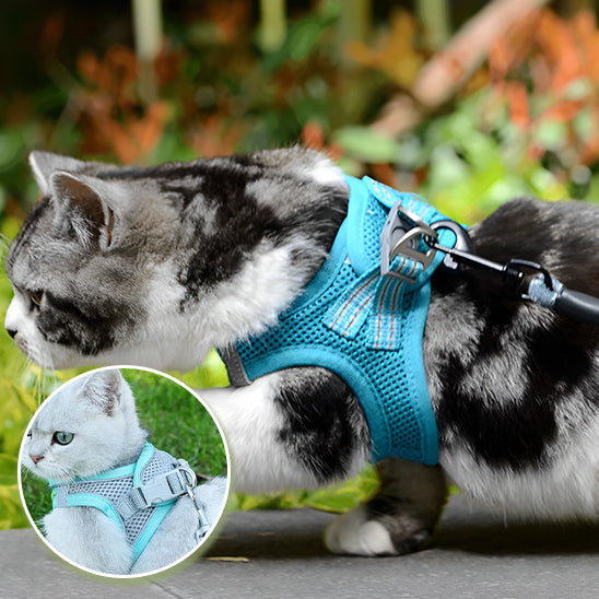 harnais chat anti-fugue| EXPLORER HARNESS