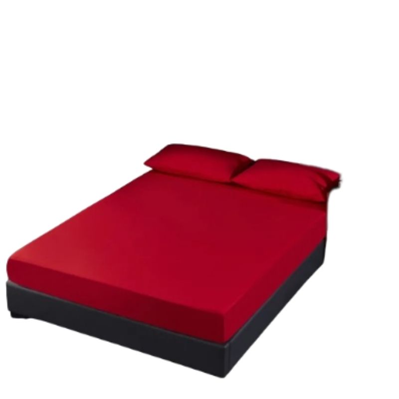 Housse anti punaise de lit