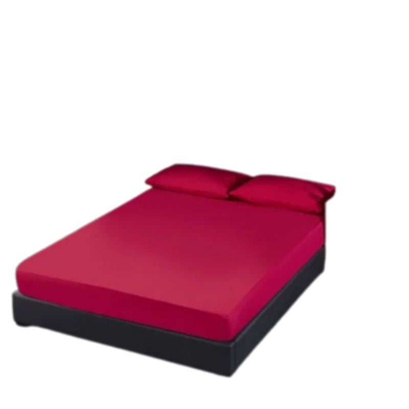 Housse anti punaise de lit