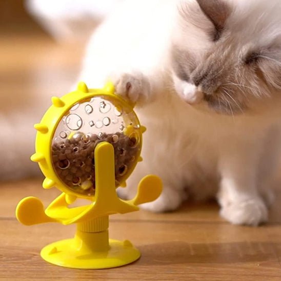 jeu-interactif-chat-joucroc