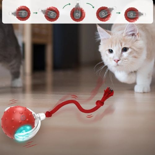 jouet chat interactif |SPEEDY BALL CAT