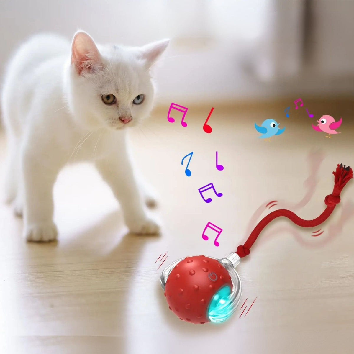 jouet chat interactif |SPEEDY BALL CAT