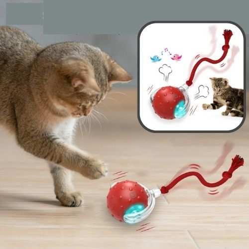 jouet chat interactif |SPEEDY BALL CAT