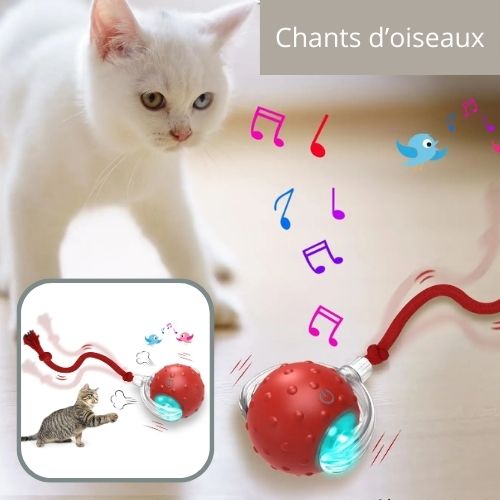 jouet chat interactif |SPEEDY BALL CAT