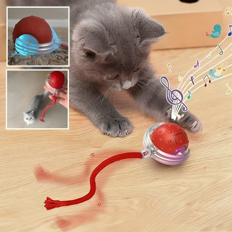 jouet chat interactif |SPEEDY BALL CAT