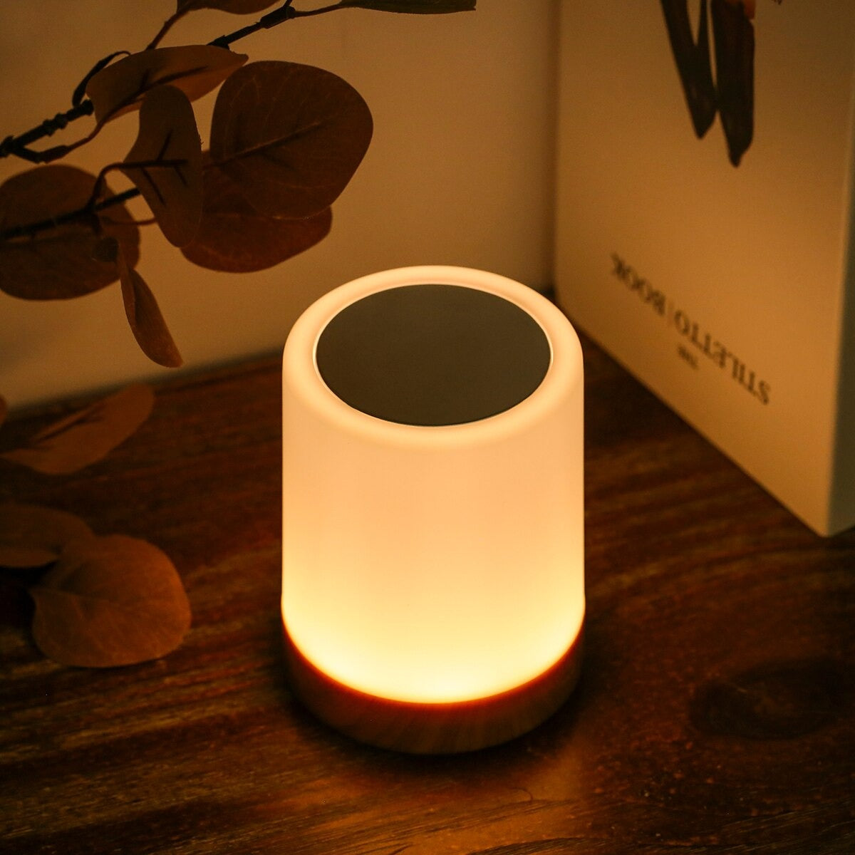 Lampe de chevet Sans fil Tactile
