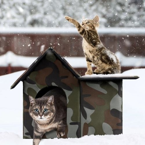NICHE EXTERIEUR CHAT SPACIEUSE