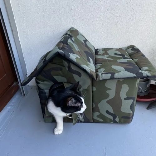 NICHE EXTERIEUR CHAT SPACIEUSE