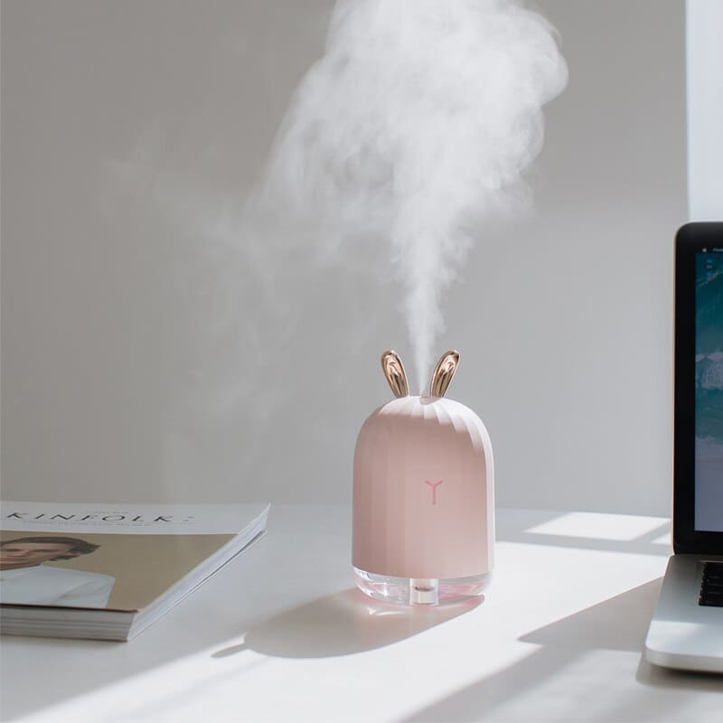 Petit humidificateur d'air 2en1 pour chambre - WIZZ
